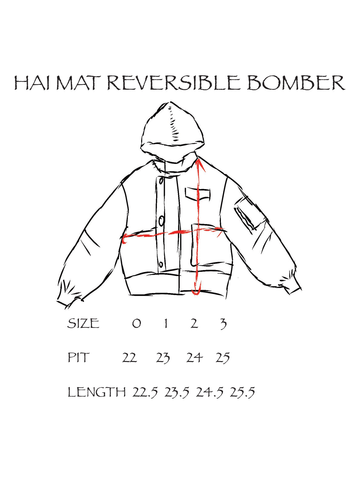 Hai Mat Reversible Bomber