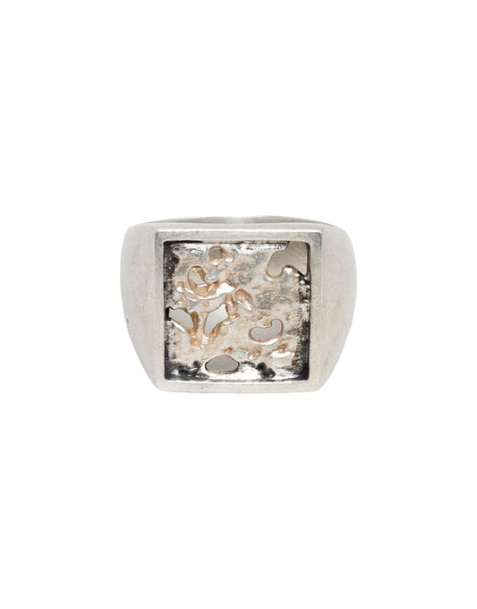 Corrosion Ring